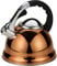 3.5l Gold Whistling Kettle - Stainless Steel Gas Electric Hob Kitchen | Phenolic Handle, Non Drip Whistling Spout, 3.5 litres Capacity - Indoor & Outdoor | Suitable for Fishing, Hiking, Camping