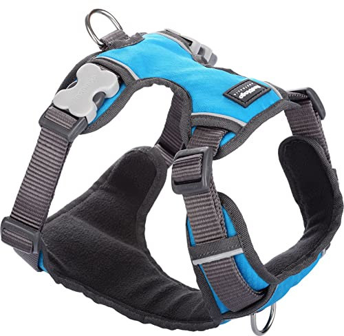 Red Dingo Gepolstertes Hundegeschirr, Größe S, Türkis