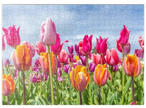 MyPuzzle Orange- gelbes Tulpenfeld - Premium 500 Teile Puzzle - MyPuzzle Sonderkollektion von Puzzle Galaxy
