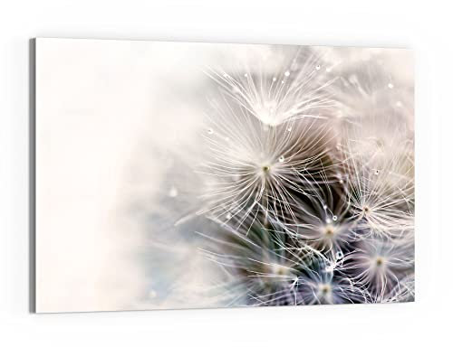 DEQORI Glas-Magnettafel | 60x40 cm groß | Motiv Detailaufnahme Pusteblume | Memo-Board aus Glas | Magnetboard inkl. Magnete, Stift & Tuch für Küche & Büro | Tafel magnetisch & beschreibbar