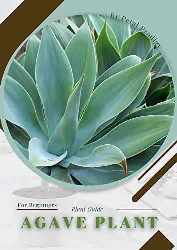 Agave Plant: Prodigy Petal, Plant Guide