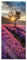 Pixxprint Glasbild Panorama, Wandbild aus Echtglas, Lavendel Provence mit Baum, 120x50 cm, inkl. Aufhängung und Abstandshalter