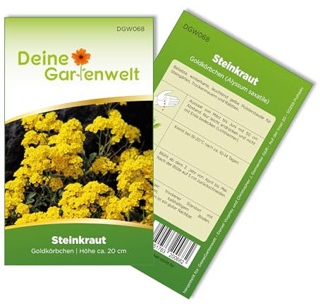 Steinkraut Goldkörbchen Samen - Alyssum saxatile - Bergsteinkrautsamen - Blumensamen - Saatgut für 200 Pflanzen