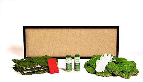 DIY Moosbild selber Machen, Wandbilder selber kleben, Moosbilder selber gestalten, Do it Yourself Set Moos kleben Wanddeko selbst herstellen (Schwarz, 100x35 cm)