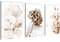 Novart Bilder Set Boho Style - Kein Extra Rahmen benötigt - Wandbilder für Wohnzimmer Schlafzimmer - 3 Teilig Deko Beige - N023136a