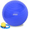 ZENO Exercise Ball 65CM | Pregnancy Ball for Stability | Yoga Balls for Gym, Pilates & Balance | Gym & Pilates Balls with Quick Foot Pump | Anti Slip | Blue