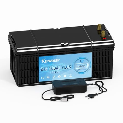 Bluetooth Lifepo4 Batterie 24v 100AH Lithium avec des cellules de qualité A et 100A BMS pour moteur de pêche à la traîne, camping, système solaire, applications domestiques, série et parallèle.