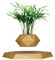 Pot de fleurs en lévitation en bois pour plantes grasses et cactus – Jardinière flottante magnétique pour décoration de maison et de bureau