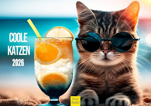Edition Seidel Premium Kalender Coole Katzen 2026 Format DIN A3 Wandkalender Katzenkalender Haustiere Kätzchen Katze Kater Kitten lustige Sprüche