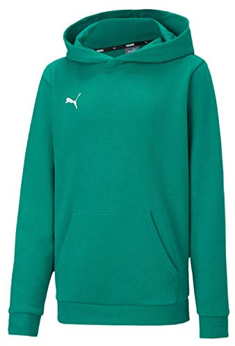 PUMA Unisex Kinder, teamGOAL 23 Casuals Hoody Jr Hoodie, Pepper Green, M