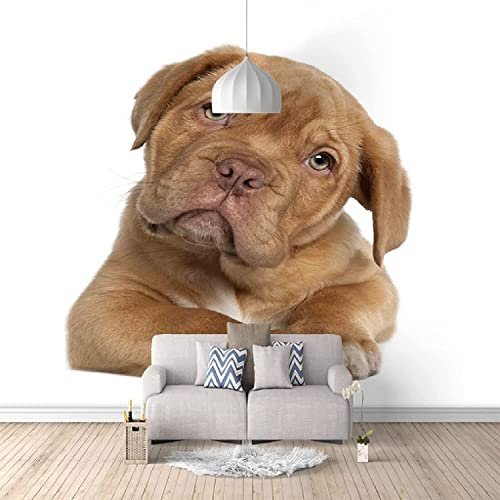 Wandbild Selbstklebende Fototapete 3D Tierischer Hund Wandfotokunstwandposter Wandaufkleber Für Wohnzimmer Tv Sofa Themenhotel Luxus Korridor Hintergrund Wandmalerei Heimtextilien 400(B) x280(H) cm