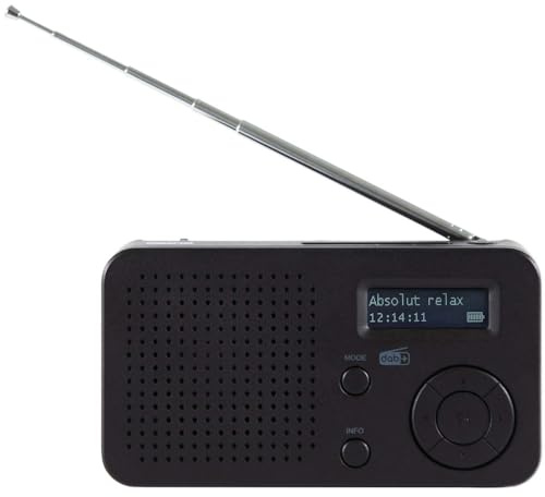 Imperial DABMAN 17 – Tragbares DAB+ & UKW-Radio (portables Digitalradio, Musikwiedergabe via Bluetooth und USB, austauschbarer Akku) – Schwarz