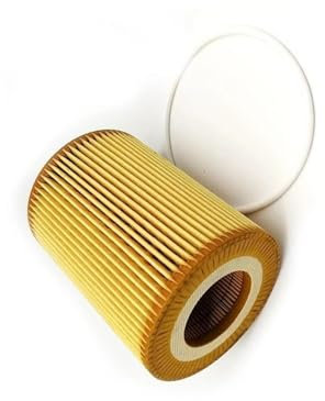 Per LAND Per ROVER Per FREELANDER 2 Filtro Olio OE 30750013 307 50 013 Filtri Olio Per Auto Filtro Olio Per Ricambio