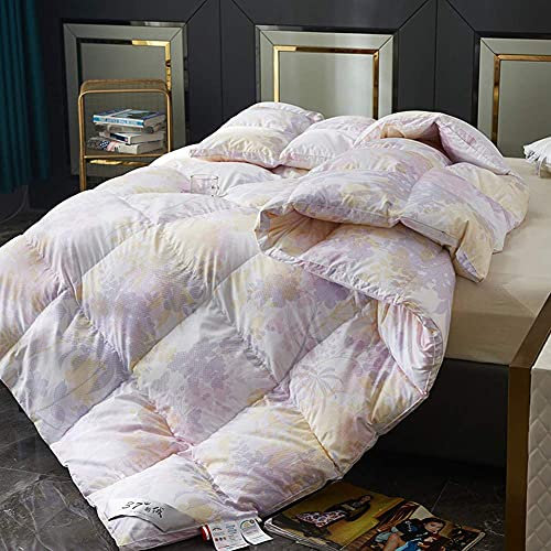 White Goose, Feder-Daunendecke für Doppelbett, 100% Baumwolle, daunendichter Stoff, Box-Baffle-Konstruktion, waschbar zu Hause (C, 160 x 210 cm, 2,5 kg)