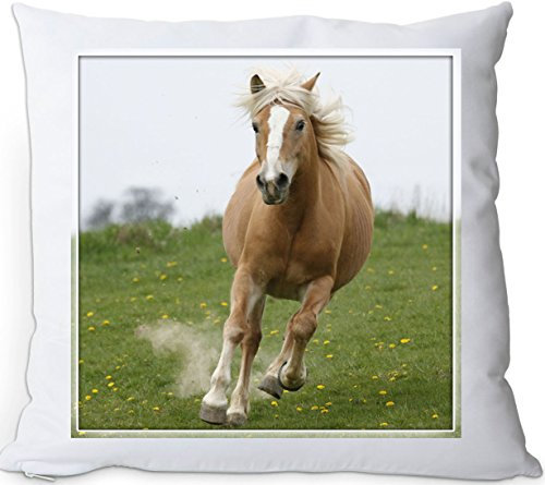 +++ HAFLINGER Pferd - Kuschelkissen/KISSEN | PILLOW/Dekokissen - HFL 06