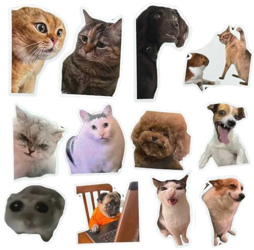 YJ PREMIUMS Lustige Magnete, Meme, Tier-Magnete, für Kühlschrank, Erwachsene, Arbeit, Schule, Schließfach, Büro, Auto, Stoßstange, Aufkleber, Spiel, Küche, niedlich, cool, seltsam, lustig, witzig