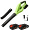 Soffiatore di Foglie 21V, Soffiatore a Foglie con 2× Batteria, 800W, 2 Modalità di Velocità, Soffiatore di Foglie San Filo 210 km/h, per Giardino, Spolverare e Soffiaggio di Neve (Verde (B))