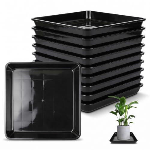 CVASNF Lot de 10 soucoupes carrées pour pot de fleurs - 25 x 25 cm - En plastique - Pour extérieur et intérieur - Robuste et durable - Noir