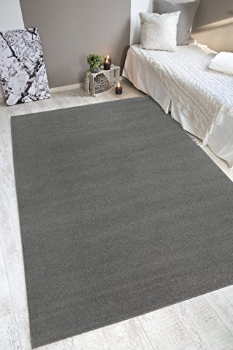 andiamo Webteppich moderner stilvoller Kurzflor Teppich robust und pflegeleicht aus 100% Polypropylen geeignet für Fußbodenheizung und Saugroboter 160 x 230 cm Einfarbig Hellgrau