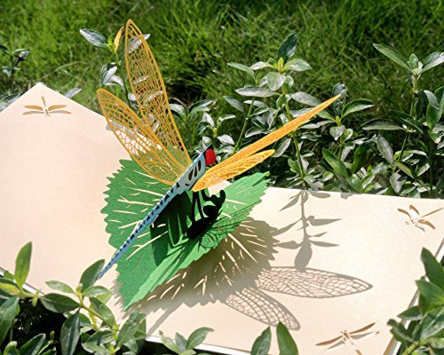 CUTPOPUP Libellenkarte Pop Up, 3D Geburtstagskarte Pop Up für Oma, Mutter, Schwiegermutter, Tochter, Nichte, Gruß zu Weihnachten, Neujahr