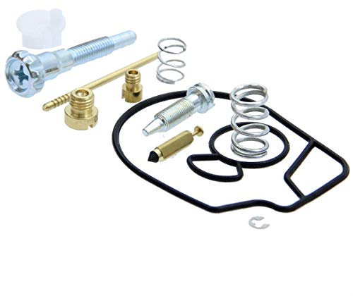 Vergaser Reparatur Satz für Dellorto PHVA 12mm 14mm 17,5mm, 12-teilig Vergaserreparatursatz Piaggio Aprilia Gilera Yamaha