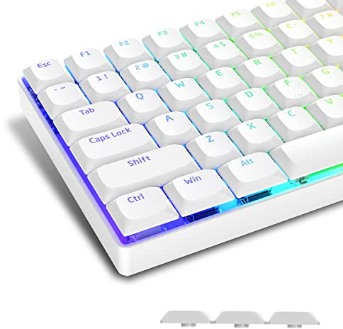 LQXQ 118 Tasti a basso profilo, Keycaps Copritasti Shine Through, Copritasti a grandezza naturale ANSI US al 75% per 60% 65% 75% 80% 100% Cherry Gateron MX Switch Tastiera meccanica, Bianca