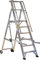 Svelt Scala Doppia Professionale in Alluminio con Piattaforma Ampia, Guarda-Corpo e Ruote – Certificata, Portata 150 kg (6 Gradini)