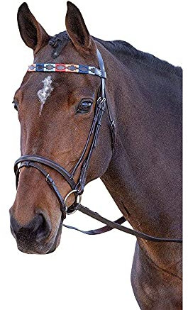 Shires Blenheim Polo-Stirnband, Leder, türkis/rot/orange/blau