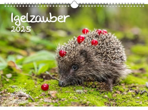Igelzauber DIN A3 Kalender für 2025 Igel - Seelenzauber