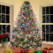 Darryy 2M Luci Natale Albero a Cascata, Mantello Luci Albero Di Natale, Luci Per Albero Di Natale Colorate, Totale 280 perle LED, Colorate, Timer 8 Modalità, per Alberi Di Natale 150cm-240cm