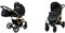 BabyLux Largo 2-in-1 Baby Kinderwagen Tief und Kinderwagen mit Zubehör Verstellbar und faltbar Aluminiumkonstruktion Wasserdicht Nicht abnehmbare Räder Garden Flowers Gold Frame