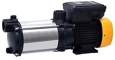 ESPA Leader MISTRAL 150 4M Bomba de Superficie para Aguas Limpias y Jardinería