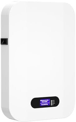 Batteria Lifepo4 da 100Ah 51,2V - 6000 cicli Costruita con BMS da 100A e celle al litio di grado A Accumulo di energia efficiente per impianti solari fotovoltaici e sistemi UPS