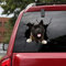 Ocean Gift Akita Hund Auto Decals, Wandaufkleber Aufkleber 2 Stück - Realistische Autoaufkleber Hundeaufkleber Serie 40, Größe 25,4 x 25,4 cm