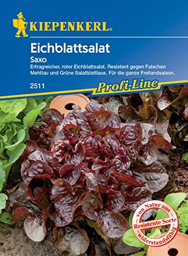 Kiepenkerl 2511, Eichblattsalat Saxo, Portionssaatgut, ertragreich und resistent für die ganze Freilandsaison