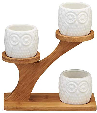 JoyFan Fleur en céramique Pot Succulent Hibou en Forme de Blanc avec cime des Arbres Bambou Cadre Maison Bureau Decor