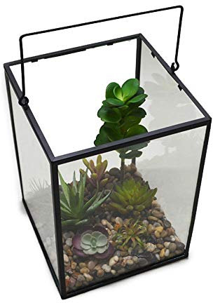 ChengBeautiful Terrarium Glaskristallkugel Wurzel Teelicht Kerzenhalter Nehmen Kleine Fleischige Dekoriert Moos Farne (Color : Brass, Size : 20x20x27cm)