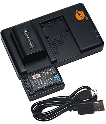 DSTE 7.4V 1300mAh NP-FV50 Lithium Battery Pack(2 Packs) and Dual Charger Compatible with Sony HDR-CX220, HDR-CX230, HDR-CX290, HDR-CX330, HDR-CX380 and more