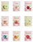 BUAH® Gefriergetrocknete Früchte Probierset | Perfekter Snack aus Fruchtchips | Süßigkeiten Alternative ohne Zuckerzusatz, Toppings für Porridge | Vegan Glutenfrei | 9er Pack Fruchtmix