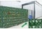 Künstliche Hecke Hecke Wanddekoration 2x2m/6.56 x 6.56ft,In verschiedenen Größen erhältlich，Efeu Sichtschutz Outdoor，Künstlicher Efeu Sichtschutz，Dunkelgrüne Sichtschutzhecke