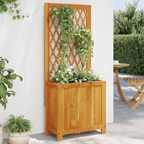 HaoChrymec Pflanzkübel mit Rankgitter, Massivholz Akazie, Pflanzkasten mit Rankgitter, Hochbeet mit Rankgitter, Pflanzkasten Outdoor, 55x29,5x132 cm