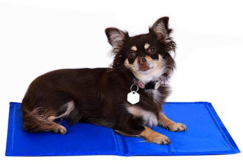 lionto Kühlmatte für Hunde & Katzen, selbstkühlende Haustiermatte sorgt für Erfrischung an warmen Tagen, 90x50 cm, Faltbare Kühldecke ohne Strom, Kühlung durch Körperkontakt, leichte Reinigung, blau