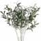 SzJias Faux Olive Branches for Vases Artificial Olive Branch Fake Branches Olive Stems for Vase Fake Olive Tree Branches (5 Branches)