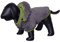 Nobby Hundemantel TEDDY grau / grün 26 cm