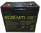 12V 55Ah EXALIUM EXA55-12 batteria al piombo