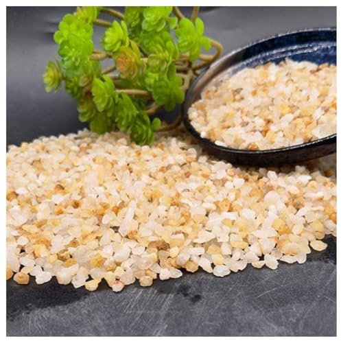 Arena Gruesa Natural, Arena for Acuario, Piedras Decorativas, suculentas y Cactus bonsái, proyectos de Bricolaje, Rocas, for Plantas de Interior, Grava