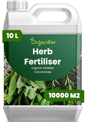 Fertilizzante liquido organico 10L per erbe – vitalità e fogliame abbondante – Organifer