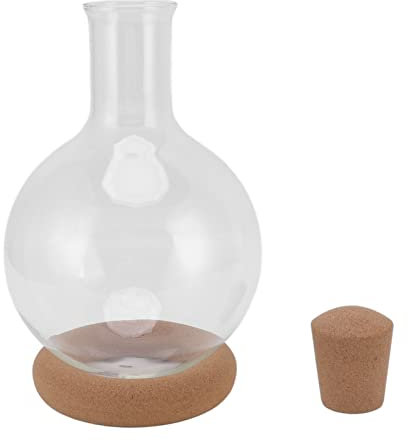 Decanter per vino rosso Caraffa per vino in vetro multifunzionale Quick Sober Dispenser per vino in vetro trasparente ad alto contenuto di borosilicato con base per bar regali per la casa(1L)