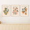 CPGG Leinwandbild 3er-Set Obstmarkt Poster modernes Leinwandbild skandinavischer Kunstdruck Orangen Pfirsiche Zitronen Wandbild für Wohnzimmer Heimdekoration-50x70cm Ungerahmt