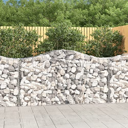 DIGBYS Gewölbte Gabionenkörbe 5 Stück 200x50x100/120 cm Eisen verzinkt